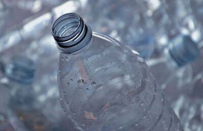 Антон Курчев - Как сделать «мини-теплицу» из пластиковой бутылки: способ, который понравится огородникам - belnovosti.by