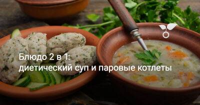 Блюдо 2 в 1: диетический суп и паровые котлеты - botanichka.ru