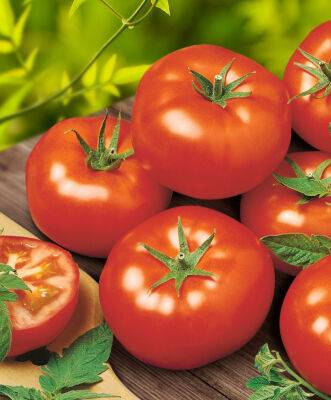 Когда сажать помидоры на рассаду в 2022 году - vusadebke.com
