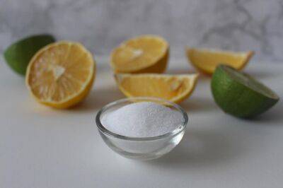 Лимонная кислота при выращивании огурцов: в чем кроется секрет - belnovosti.by