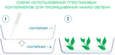 Лайфхаки и секреты выращивания микрозелени в домашних условиях - mr-ogorodnik.ru