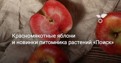 Красномякотные яблони и новинки питомника растений «Поиск» - botanichka.ru