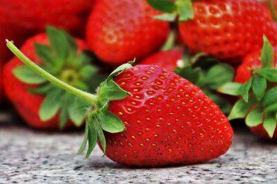 Клубника завалит урожаем крупных и сладких ягод, если ее подкормить одним копеечным средством - belnovosti.by