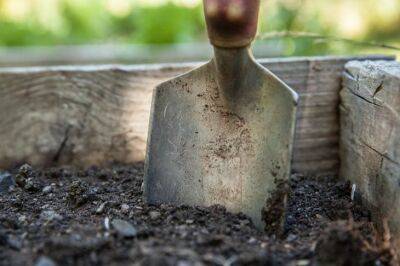 Как превратить тяжелый грунт в мягкую и легкую почву: советы начинающим огородникам - belnovosti.by