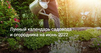 Лунный календарь садовода и огородника на июнь 2022 - botanichka.ru