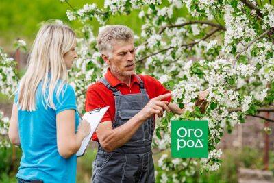 Сад во время цветения: 7 работ, которые нельзя пропустить - ogorod.ru