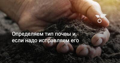 Определяем тип почвы и, если надо исправляем его - botanichka.ru