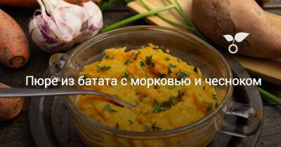 Пюре из батата с морковью и чесноком - botanichka.ru