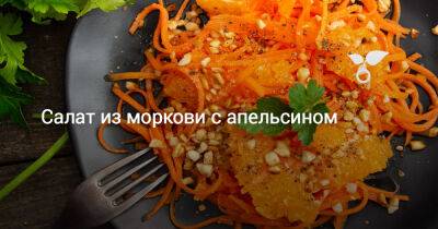 Салат из моркови с апельсином - botanichka.ru