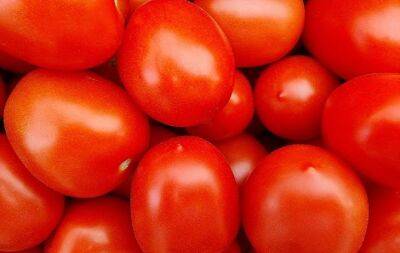 Рецепт вяленых томатов: пикантная итальянская закуска к столу - belnovosti.by