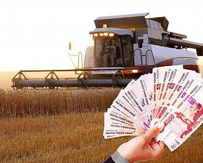 Субсидии фермерам, о которых вы точно не знали - rynok-apk.ru - Россия