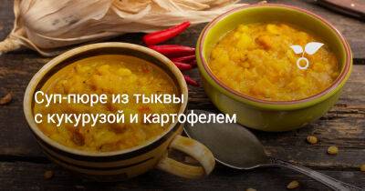 Суп-пюре из тыквы с кукурузой и картофелем - botanichka.ru