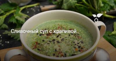 Сливочный суп с крапивой - botanichka.ru