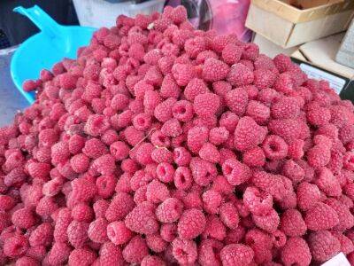 Крупные и сладкие ягоды малины: 6 способов, чтобы было много ягод - belnovosti.by