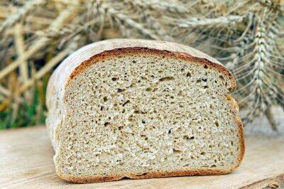 Неожиданно: как с помощью хлеба увеличить урожай - belnovosti.by