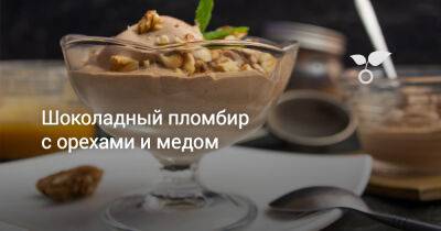 Шоколадный пломбир с орехами и медом - botanichka.ru