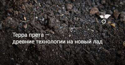 Терра прета — древние технологии на новый лад - botanichka.ru