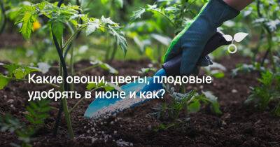 Какие овощи, цветы, плодовые удобрять в июне и как? - botanichka.ru