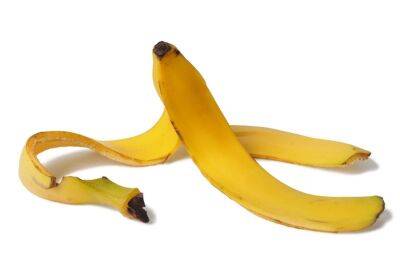 Удобрение из банановой кожуры – экологически чистый прикорм для усиленного роста, цветения и плодоношения - mr-ogorodnik.ru