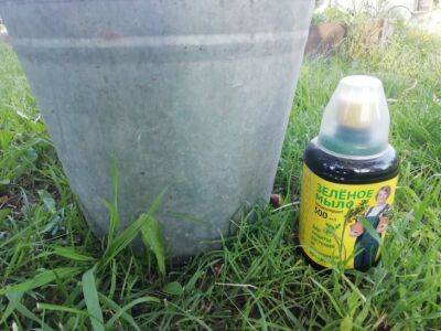 Как пользоваться зеленым мылом для растений: ошибки неопытных огородников - belnovosti.by