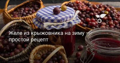 Желе из крыжовника на зиму — простой рецепт - botanichka.ru