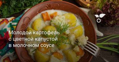 Молодой картофель с цветной капустой в молочном соусе - botanichka.ru