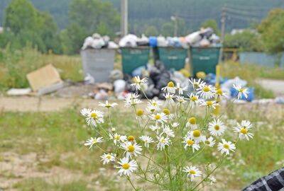 Пятая часть садов не платят за вывоз мусора - oblgazeta.ru - Россия - Екатеринбург - городское поселение Березовский