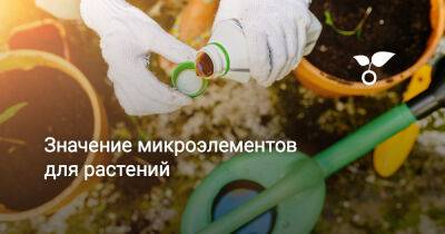 Значение микроэлементов для растений - botanichka.ru
