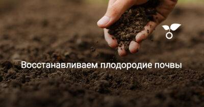 Восстанавливаем плодородие почвы - botanichka.ru