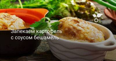 Запекаем картофель с соусом бешамель - botanichka.ru