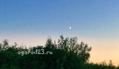 Луна в сентябре 2022 года, рекомендации для садоводов и огородников - ogorod23.ru - Россия