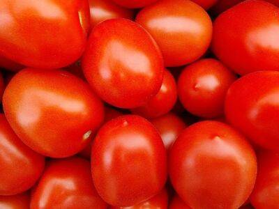 Марин Михалап - Какие хитрости помогут улучшить вкус помидоров: секреты опытных дачников - belnovosti.by