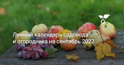 Лунный календарь садовода и огородника на сентябрь 2022 - botanichka.ru