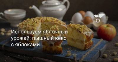 Используем яблочный урожай: пышный кекс с яблоками - botanichka.ru