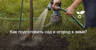 Как подготовить сад и огород к зиме? - botanichka.ru