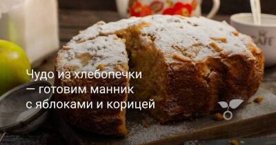 Чудо из хлебопечки — готовим манник с яблоками и корицей - botanichka.ru