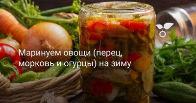 Маринуем овощи (перец, морковь и огурцы) на зиму - botanichka.ru