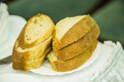 Как сделать из хлеба удобрение: 5 интересных способов - belnovosti.by