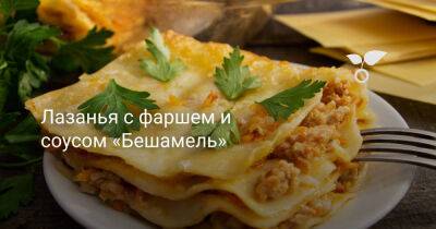 Лазанья с фаршем и соусом «Бешамель» - botanichka.ru