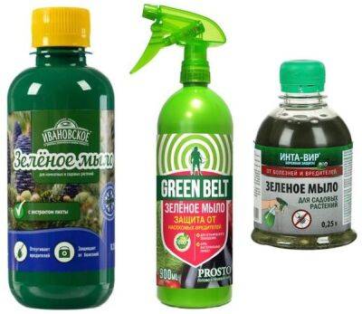 Зеленое мыло для растений: для чего применяется, как использовать от вредителей, инструкция - countryhouse.pro