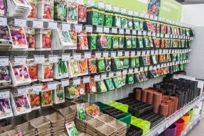 Рекомендации по выбору семян для рассады: когда лучше покупать семена - belnovosti.by