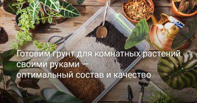 Готовим грунт для комнатных растений своими руками — оптимальный состав и качество - botanichka.ru