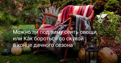 Можно ли под зиму сеять овощи, или Как бороться со скукой в конце дачного сезона - botanichka.ru