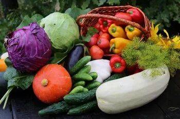 Огородные рецепты с использованием свежих и сезонных овощей - land40.ru