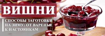 Способы заготовки вишни на зиму: от варенья до настоек - yaskravaklumba.com.ua - Украина