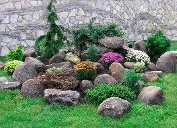 Растения для альпийской горки: создайте волшебный уголок в своем саду - land40.ru