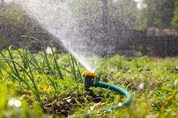 Системы полива для огорода: эффективные методы и рациональное использование воды - land40.ru