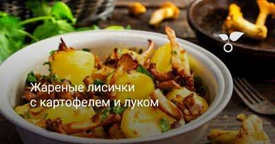Жареные лисички с картофелем и луком - botanichka.ru