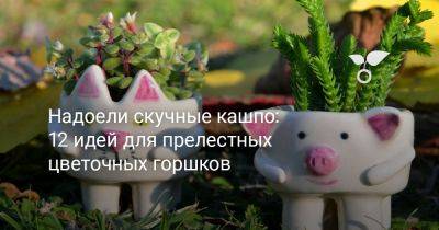 Надоели скучные кашпо: 12 идей для прелестных цветочных горшков - botanichka.ru - республика Коми
