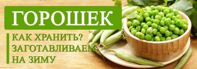 Как лучше всего хранить зеленый горошек: заготавливаем на зиму - yaskravaklumba.com.ua